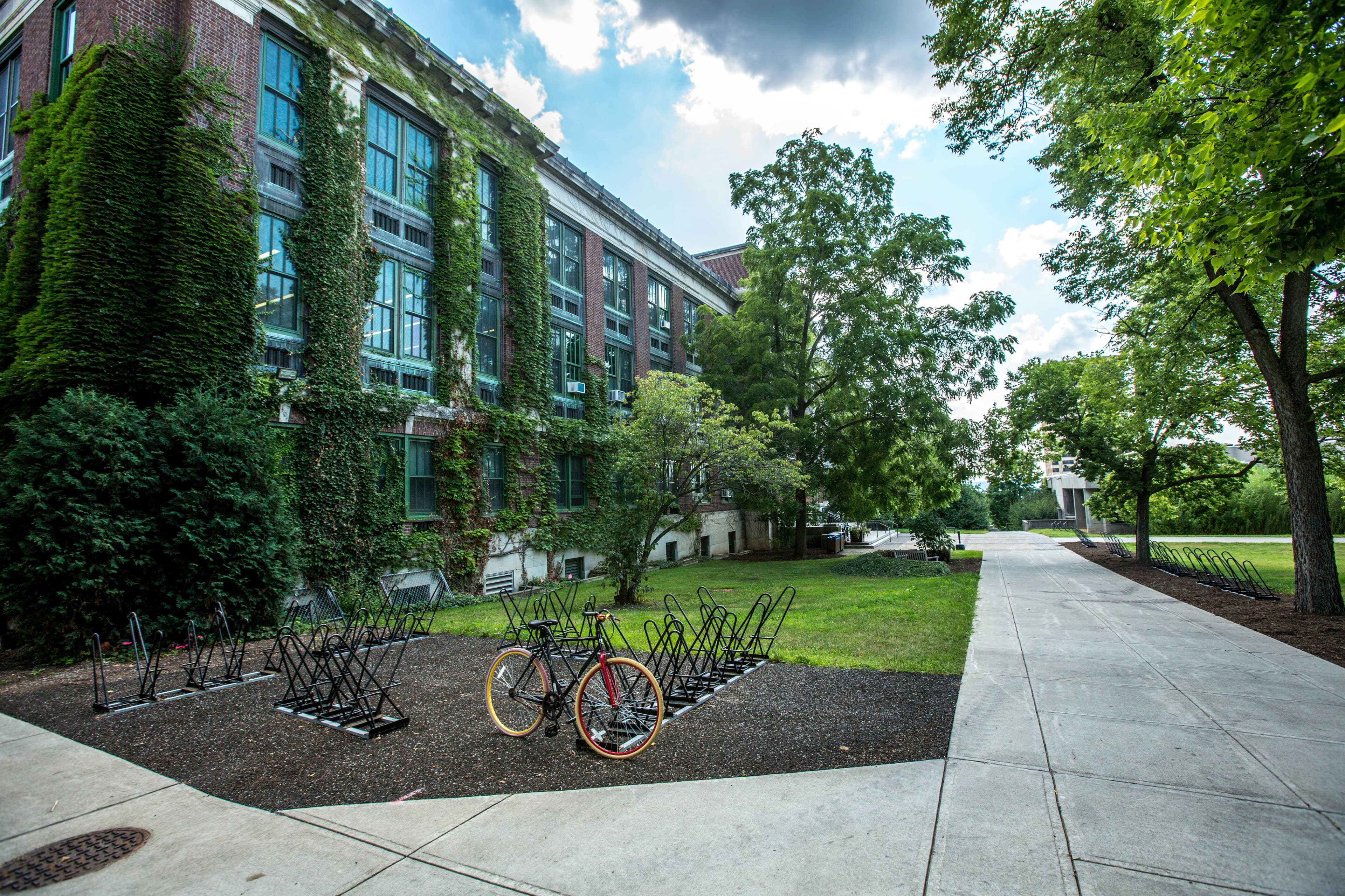 Modern school building